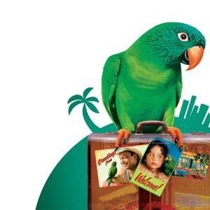 Preview of the first image of Parrot Holiday Boarding/ Pet sitting look after your birds.
