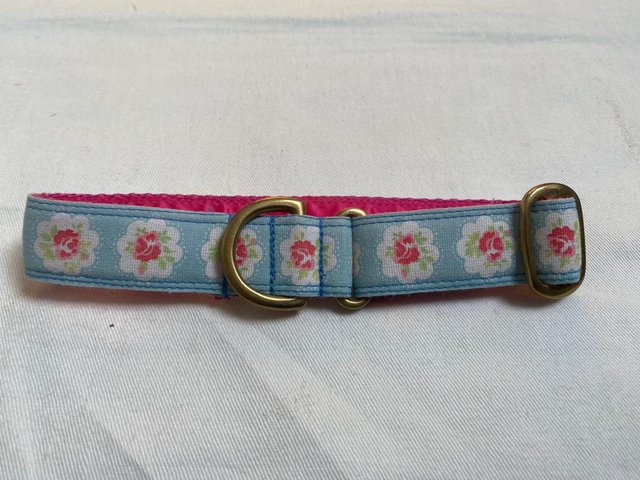 Preview of the first image of Dog Collar, medium size, fabric with brass fittings.
