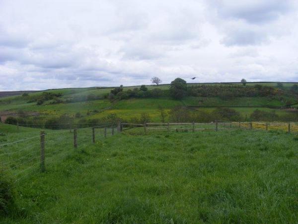 Image 4 of Livery -DIY inbetween Guisborough and Whitby, North Yorks