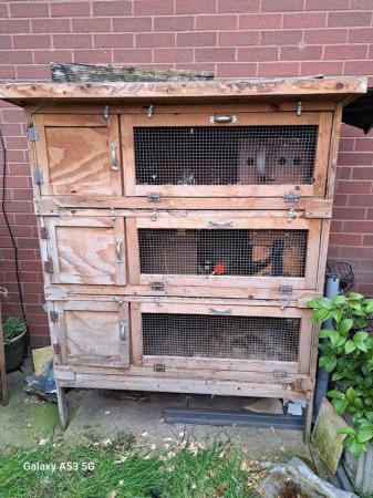 Image 3 of Due to not keeping rabbits breeder blocks