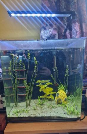 Image 2 of Tropical fish tank. Complete set up