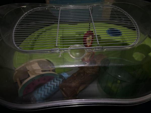 Image 3 of Cute Hamster Cage and Toys