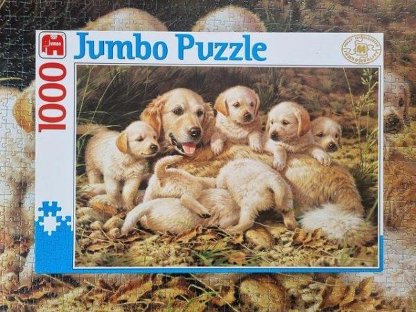 Image 2 of 1000 piece jigsaw called GOLDEN RETRIEVERS by Jumbo PUZZLES