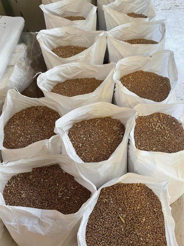 Preview of the first image of Feed Wheat 20kg Bags & Half Ton Dumpy Bags.
