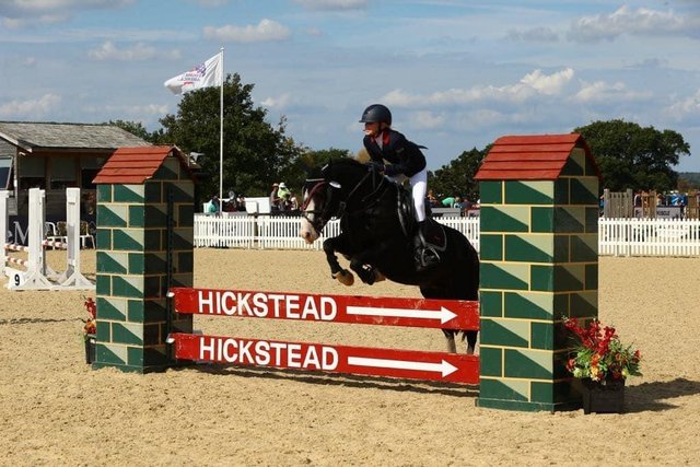 Preview of the first image of 13.2 9yr talented pony club REDUCED.