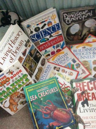 Image 2 of Large selection of children’s nonfiction books.