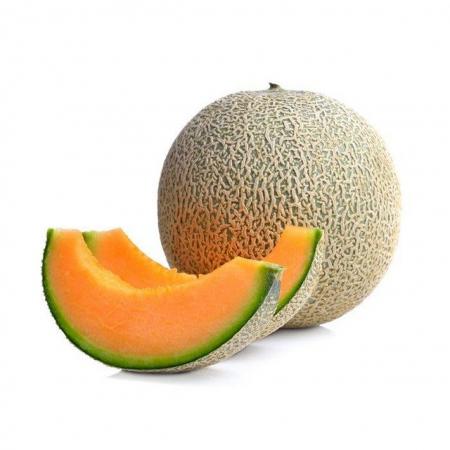 Image 3 of 1x Cantaloupe Melon Plant - Easy Growing Melon Plug Plant