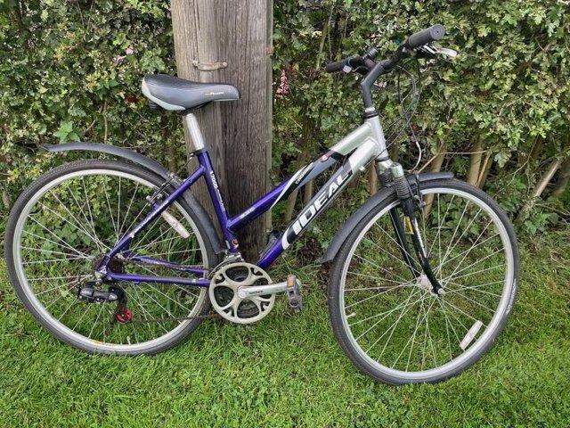 Womens mountain bike best sale used