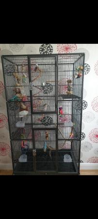 Image 6 of 175cm large bird / parrot / small animal cage on stand
