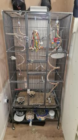 Image 1 of Bird cage with uv light + toys