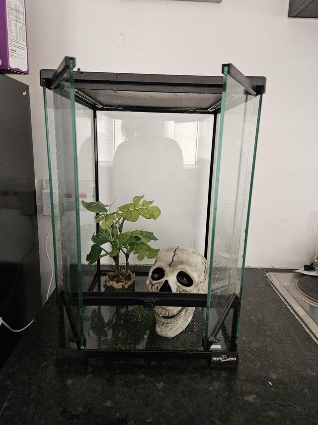 Preview of the first image of 45x30x30 vivarium with accessories.