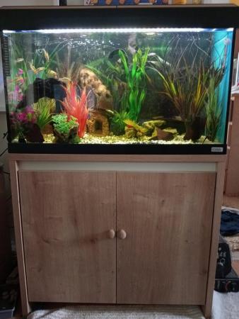 Image 5 of Fluval 125L Fish Tank and Cupboard (fully working set up inc