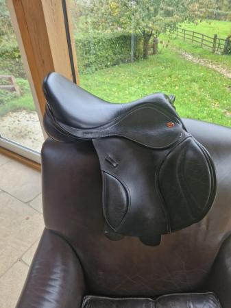Image 2 of Kent and masters 16.5 mpj saddle