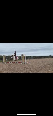 Image 1 of Beautiful 12hh safe first pony