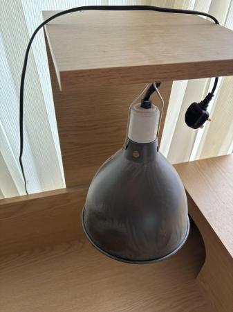 Image 4 of Tortoise table with lamp holder, heat mat and thermostat