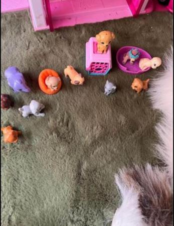 Image 3 of Barbie pets, accessories and boat