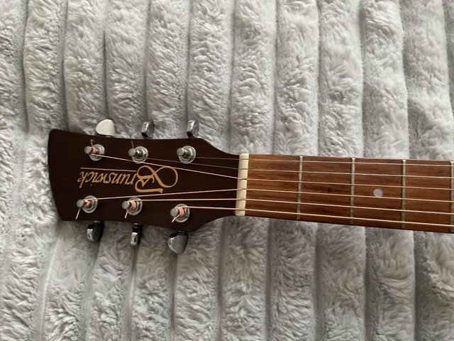Brunswick BF200SB Acoustic Guitar — photo 2 of 3