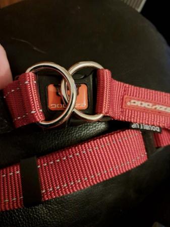 Image 5 of BRAND NEW Ezy Dog collar, red size large