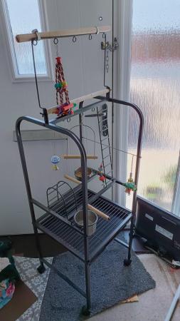 Image 5 of Parrot play stand with toys