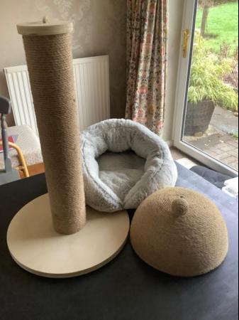 Image 5 of Cat / Kitten bed, scratching post and scratching dome