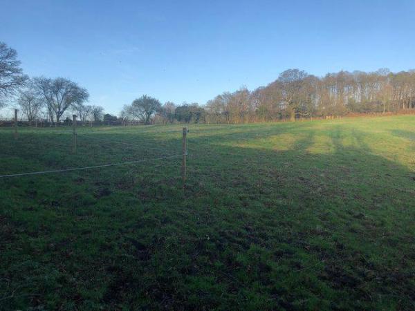 Image 1 of BEAUTIFUL , WELL DRAINED FIELD FOR HORSE/PONY GRAZING.