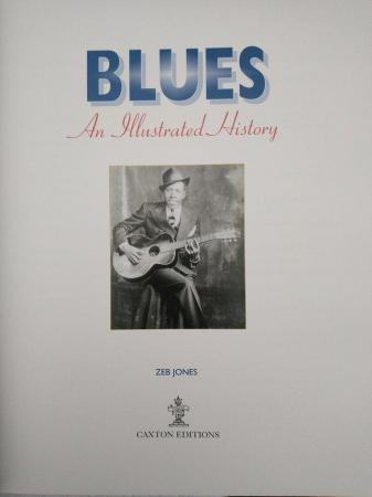 Image 9 of Blues - an Illustrated History