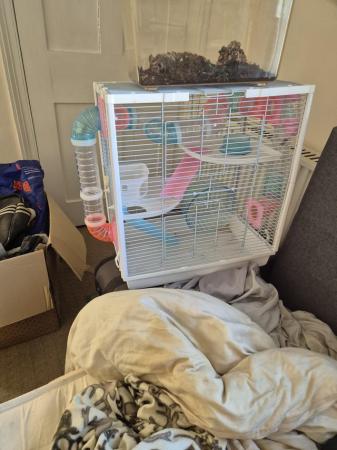 Image 5 of Hamster cage with everything needed