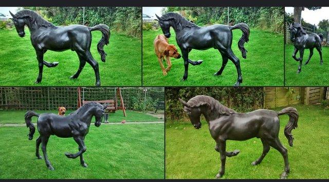 Preview of the first image of Bronze life size ponies gelded.