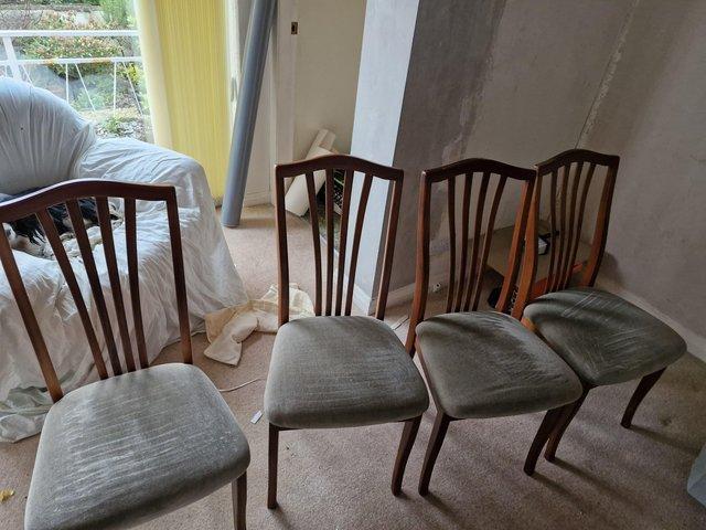 Preview of the first image of 4 matching dining chairs.