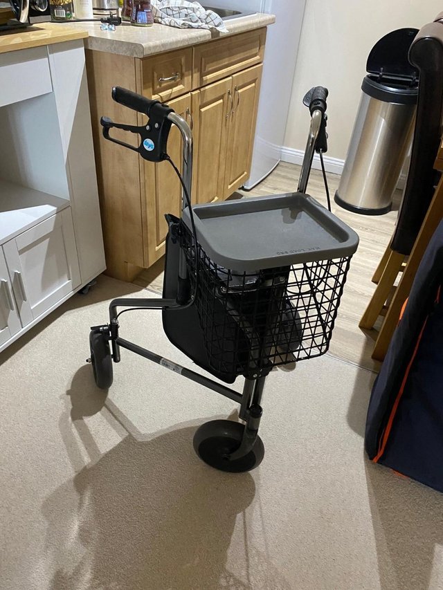 Preview of the first image of Almost new mobility walker.