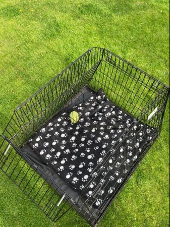 Image 2 of Dog Cage/crate Pet World double/single for car