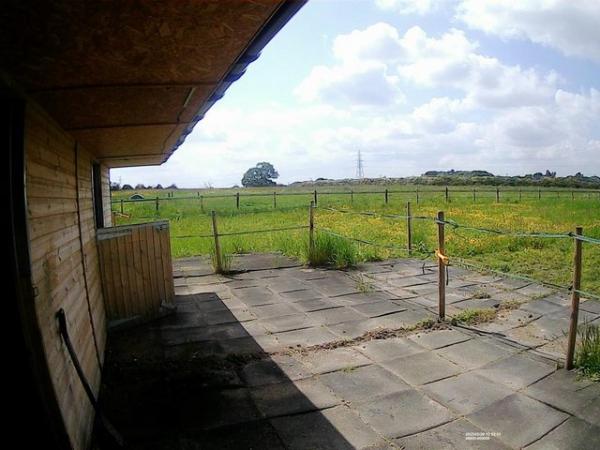 Image 6 of Stables on a Nine Acre Field available to Rent in Hawarden