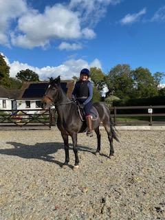 Image 1 of Frankie the Irish Sports Horse id looking for a new Sharer