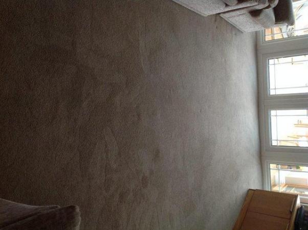 Image 2 of Lounge Carpet complete with underlay