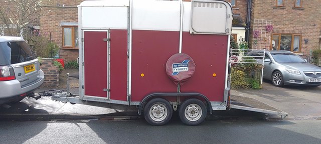 Image 2 of Ifor Williams Double Horse Trailer