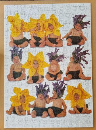 Image 3 of 1000 piece jigsaw called SUNFLOWER BABIES by ANNE GEDDES