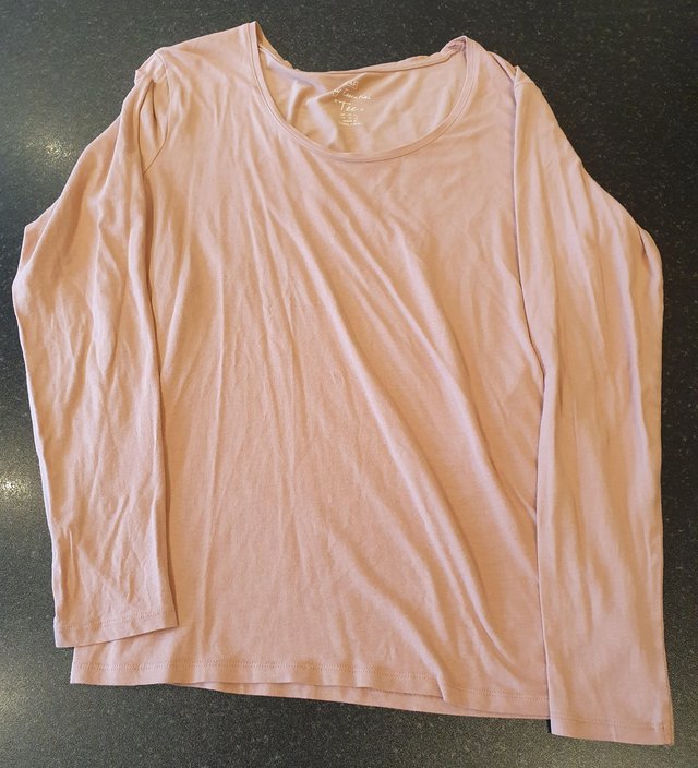 Preview of the first image of Nude peach long sleeved essential top, size 14..