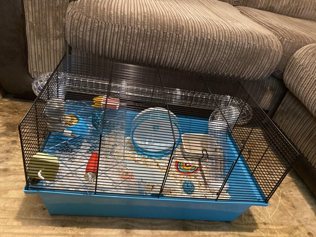 Preview of the first image of Small hamster/mouse cage.