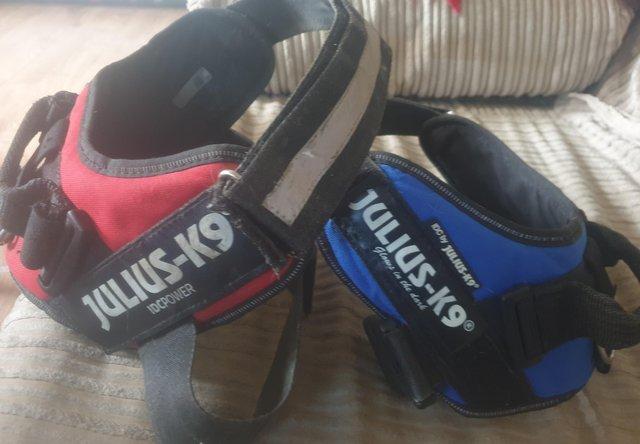 Preview of the first image of Julius-K9 Harnesses. Hardly used. BLUE ONE SOLD..