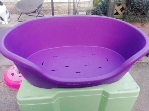 Image 3 of Purple Dog Bed Animal Bed Very good condition