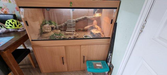 Image 4 of Bearded Dragon. 4 ft Viv and stand.