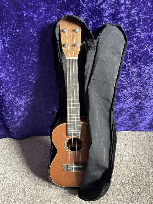 Preview of the first image of Stagg Electric/Acoustic Concert Ukulele.