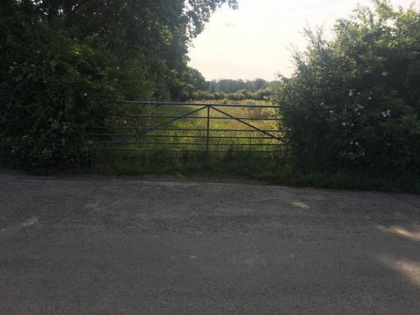 Image 6 of 8 Acres Land Hatherleigh Devon UK Smallholding / Paddock etc