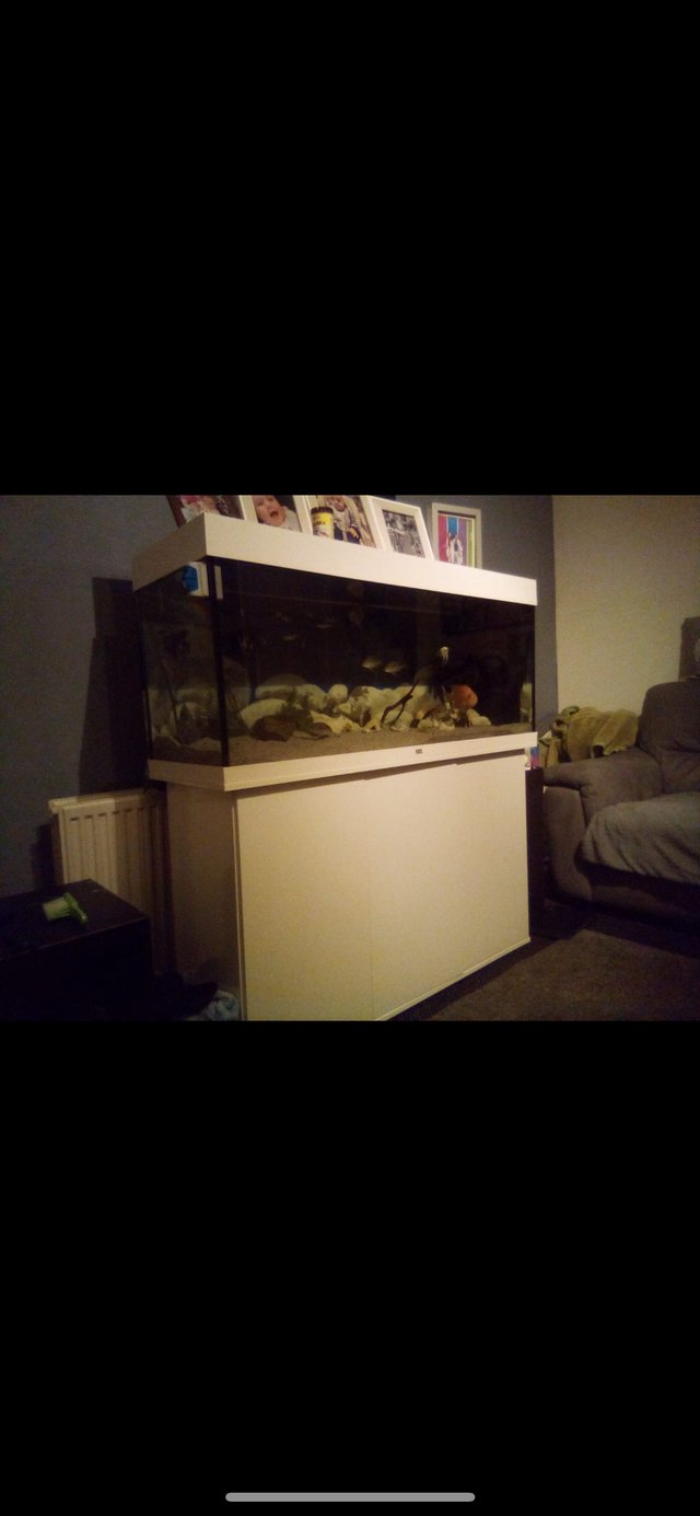 Preview of the first image of Full aquarium and all equipment including fish.