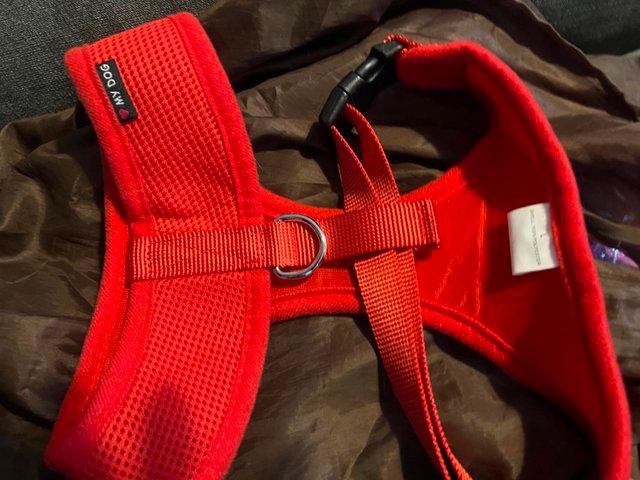 Preview of the first image of Dog harness in Medium size, all brand new and different colo.