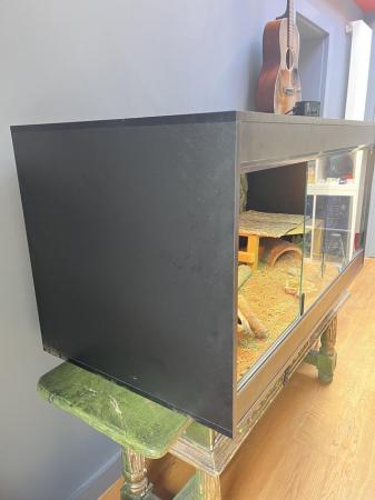 Image 3 of Full 4ft/2ft/2ft vivarium set-up. With accessories