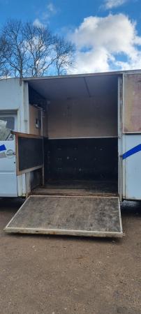 Image 3 of 3.5t Renault Master Horse Lorry