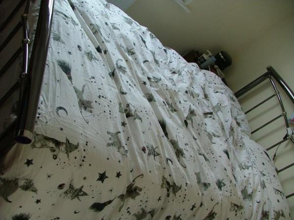 Image 1 of Queen Bed comes with Mattress