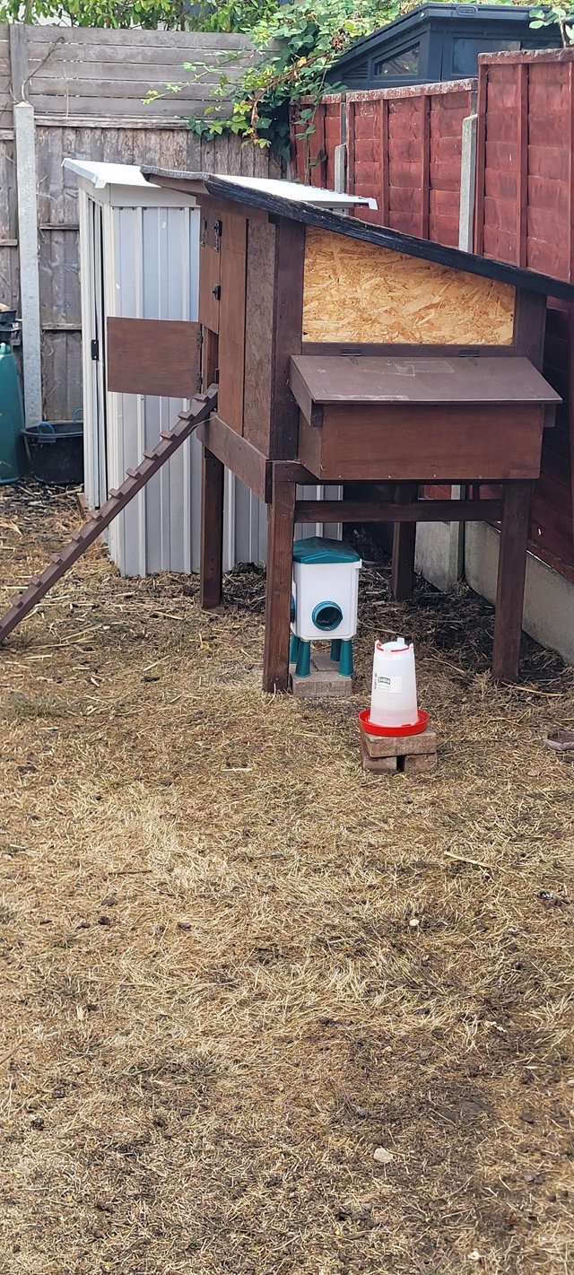 Chicken coop for 6-7 chickens — Pets & Animals in Brentwood