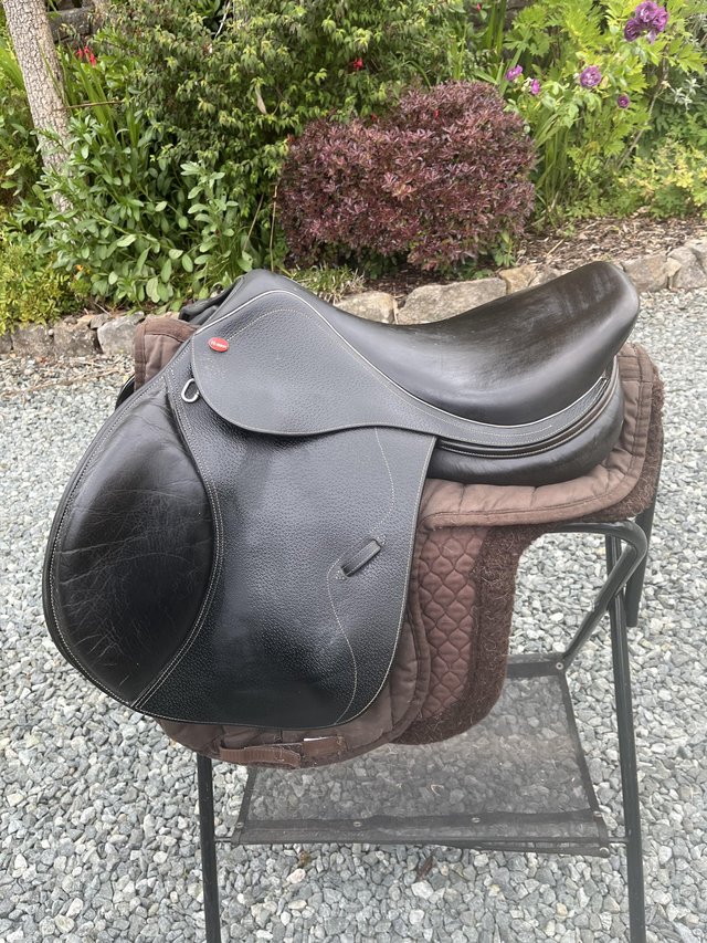 Preview of the first image of Whitaker Madrid GP/Jump Saddle 17” M.
